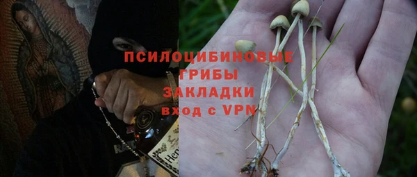 амф Бородино