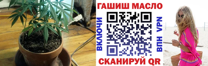 Купить закладки  Мураши  Дистиллят ТГК концентрат 